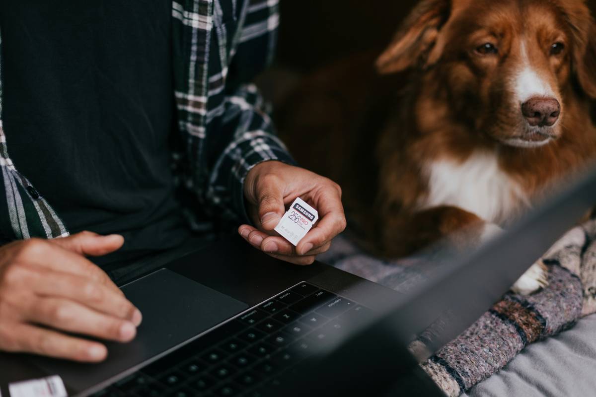 Pet owner troubleshooting pet device harmony with network analyzer tool