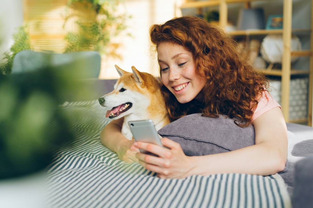RF remote control activating a pet toy with Remote Activation Features through a wall