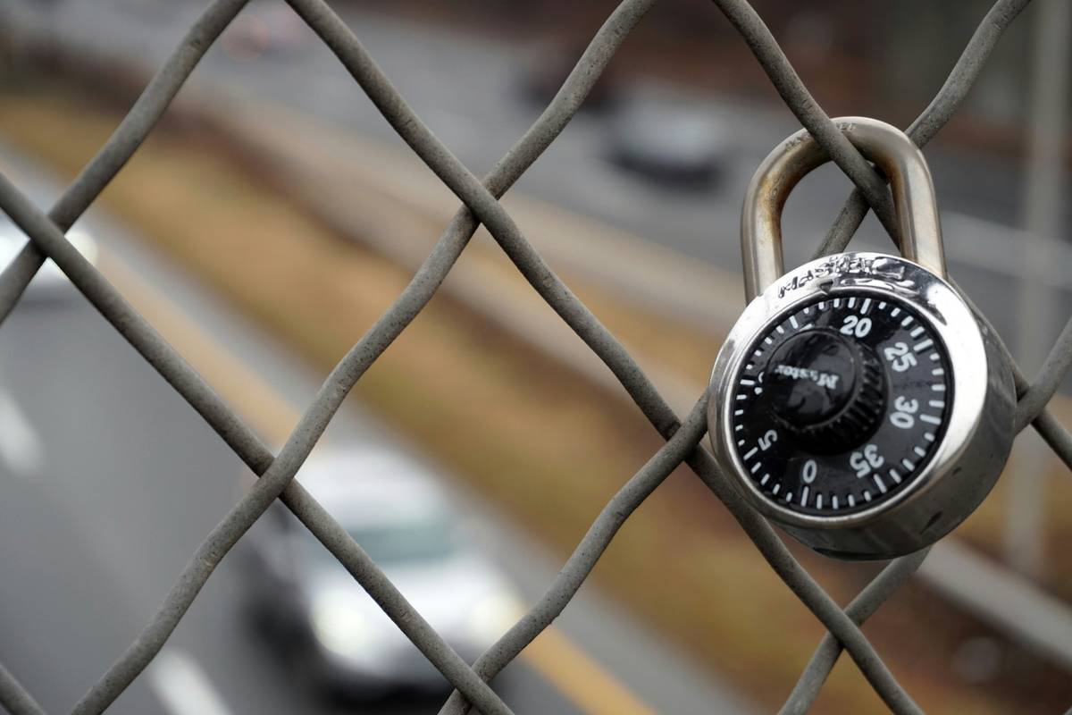 Close-up of technician performing pet lock inspection on backyard gate latch