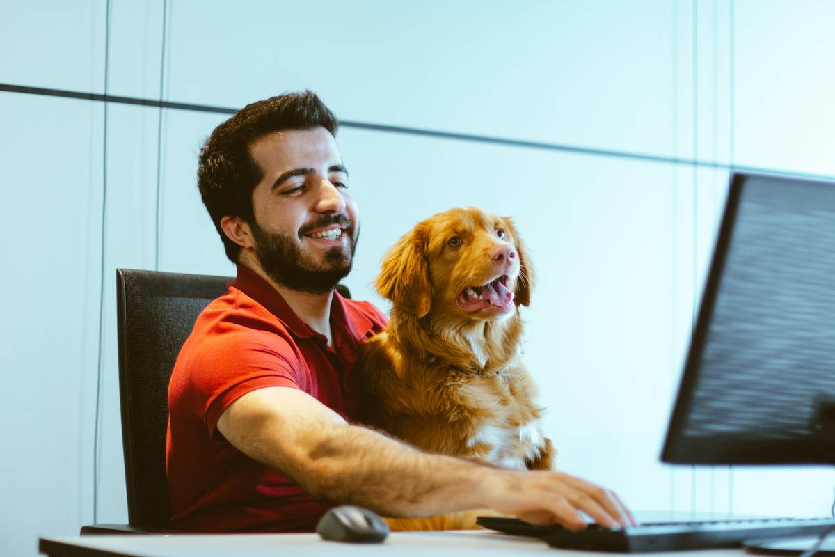 Smart pet devices achieving pet device harmony on unified wireless network