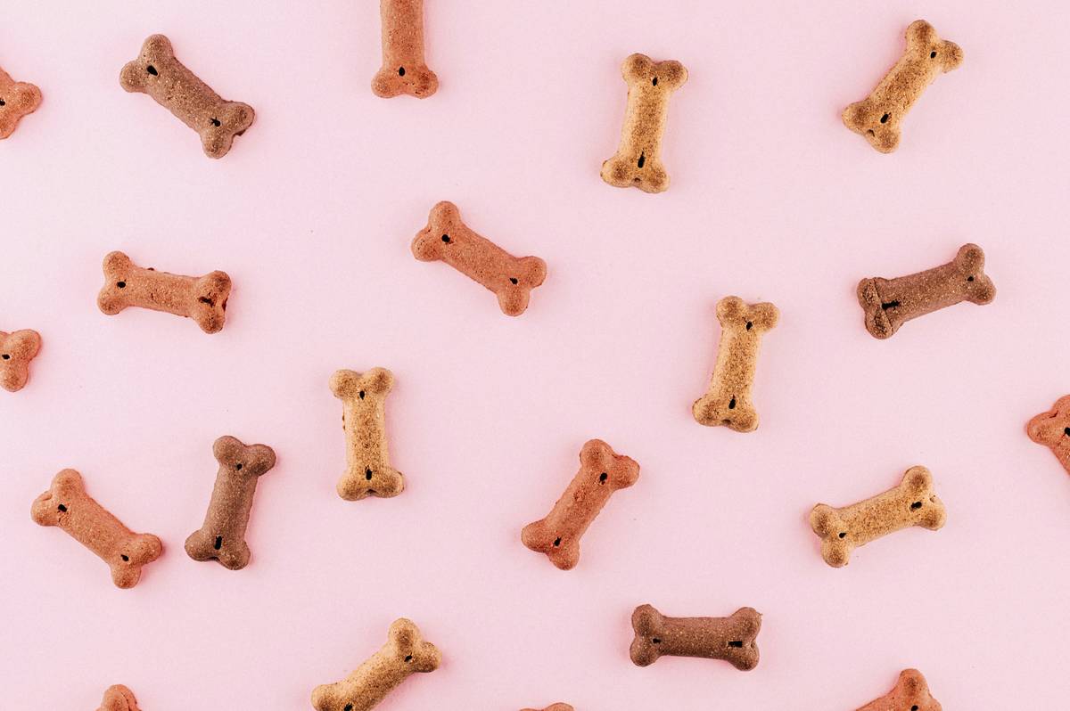 Pet Toy Alignment: 7 Proven Ways to Avoid Costly Compatibility Mistakes