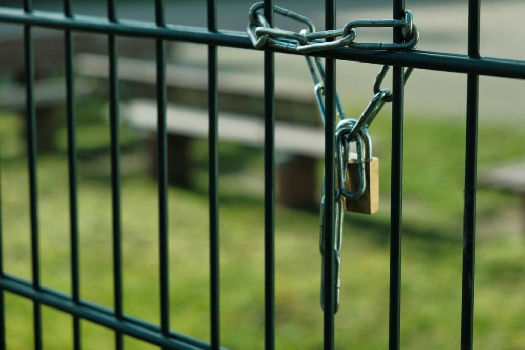 Why Pet Lock Inspection Saves Lives—and Why Most Owners Skip It