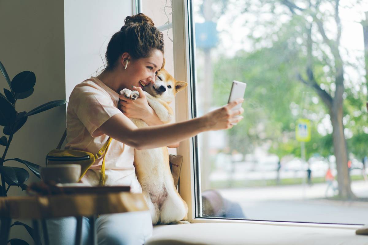 Why Your Pet Deserves Better Than Basic Remote Activation Features