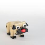 App-Based Controls: 7 Proven Ways to Avoid Costly Remote Pet Toy Mistakes