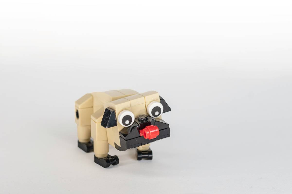 App-Based Controls: 7 Proven Ways to Avoid Costly Remote Pet Toy Mistakes