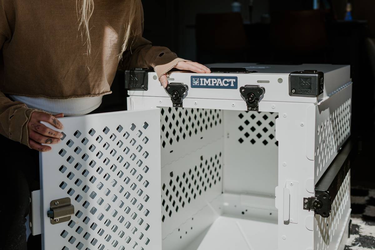 Close-up of a pet safety gate with manual override button, labeled pet lock research example