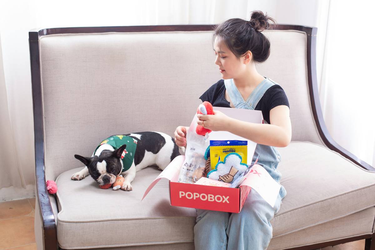 pet toy remote setup with dog reacting to correctly synced remote-controlled ball