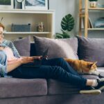 Pet Lock Research: 7 Proven Tips to Avoid Costly Mistakes