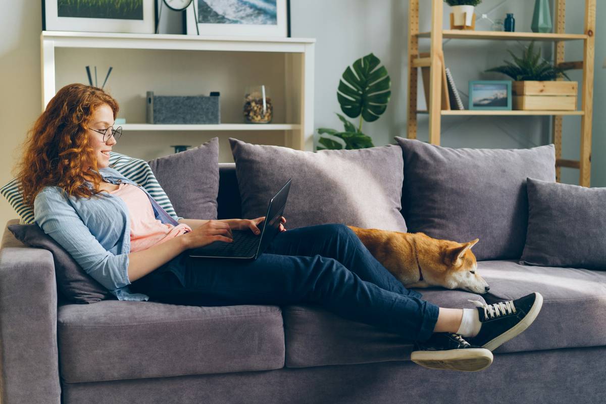 Pet Lock Research: 7 Proven Tips to Avoid Costly Mistakes