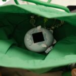 Pet Toy Remote Setup: 7 Proven Tips to Avoid Costly Mistakes