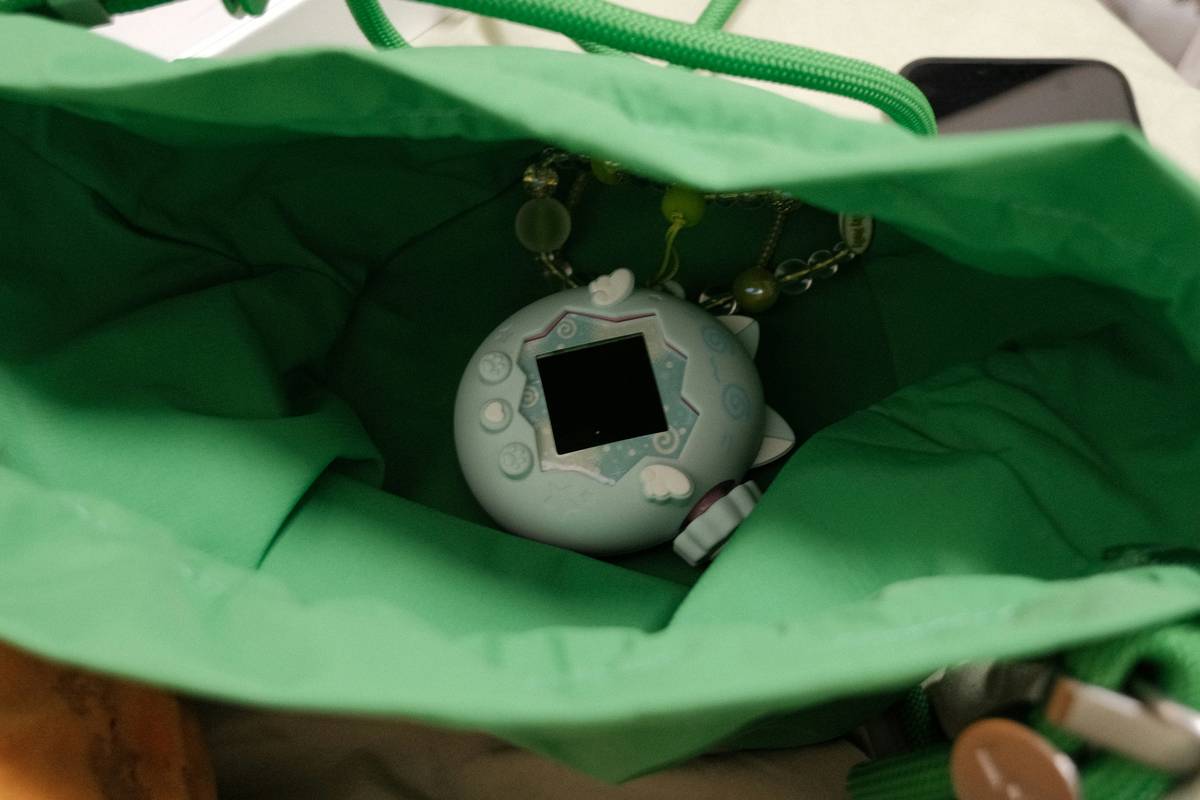 Pet Toy Remote Setup: 7 Proven Tips to Avoid Costly Mistakes