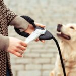 Remote Pet Toys: 7 Proven Tips to Avoid Costly Mistakes