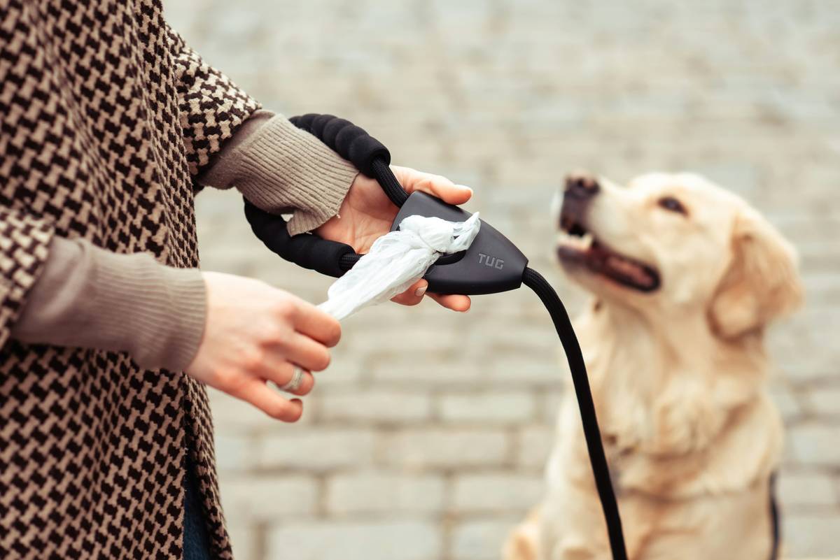 Remote Pet Toys: 7 Proven Tips to Avoid Costly Mistakes