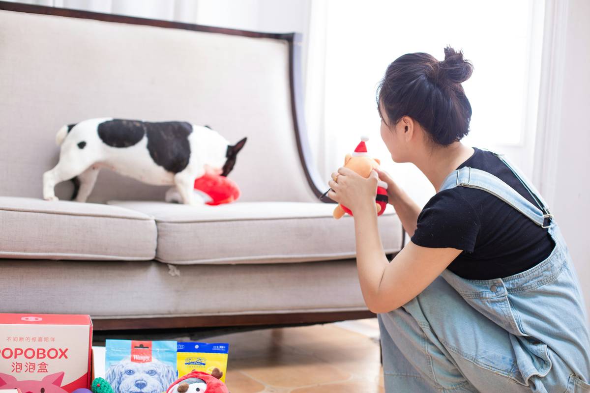 Remote pet toys with manual override button highlighted on a dog toy